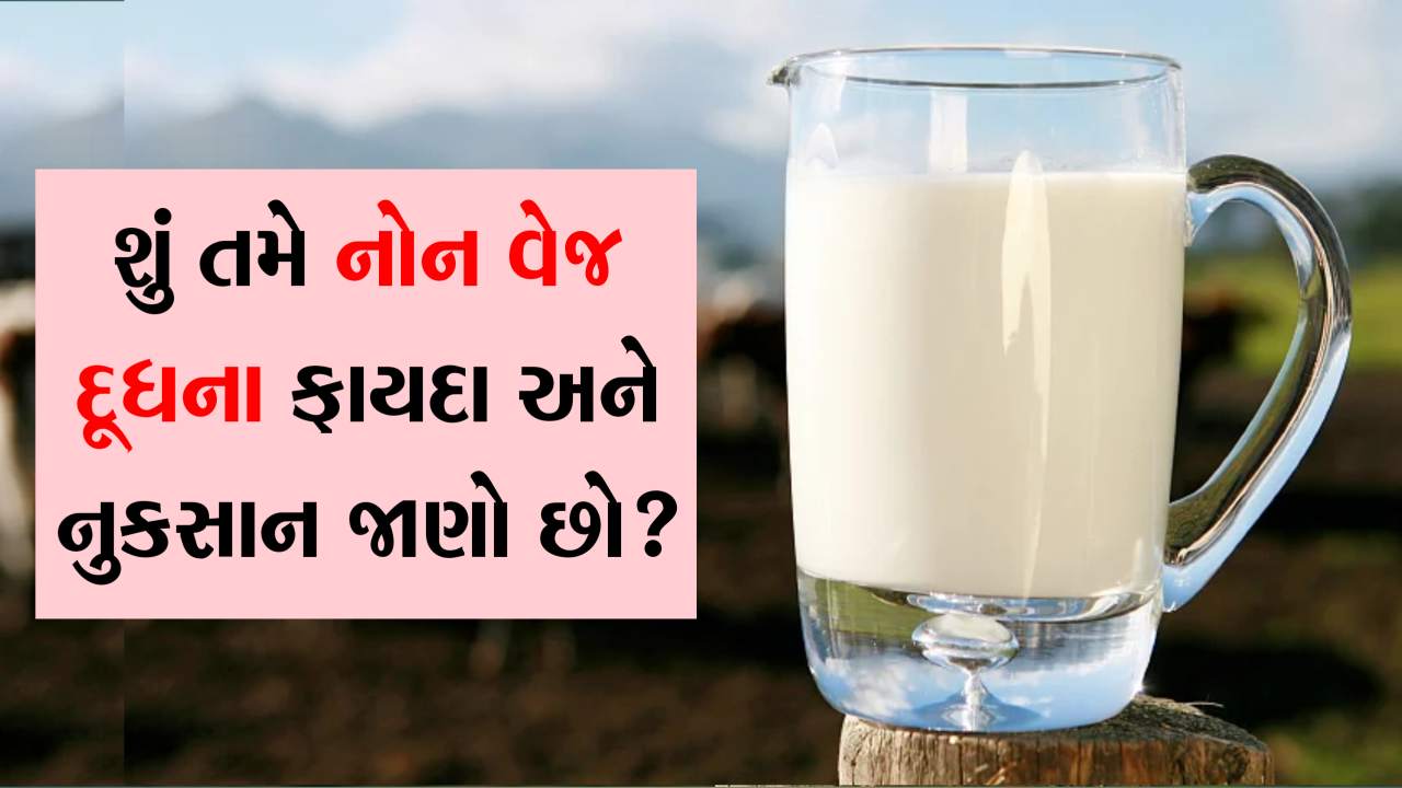 નોન-વેજ દૂધ એટલે શું? ન જાણતા હોવ તો આજે જ જાણી લેજો ફાયદા અને નુકસાન