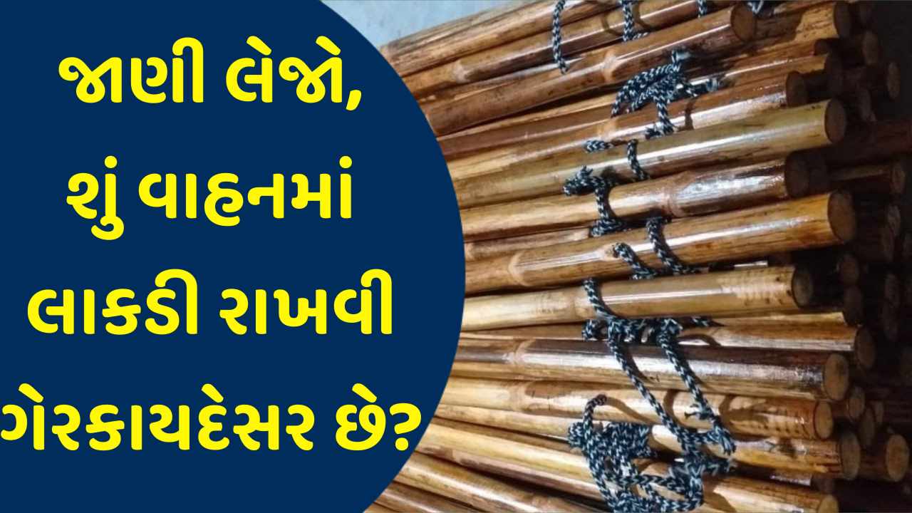 ગુજરાતમાં કાર કે બાઈકમાં લાકડાનો ડંડો રાખો.. તો કાયદેસર કાર્યવાહી થઈ શકે ? જાણો હકીકત