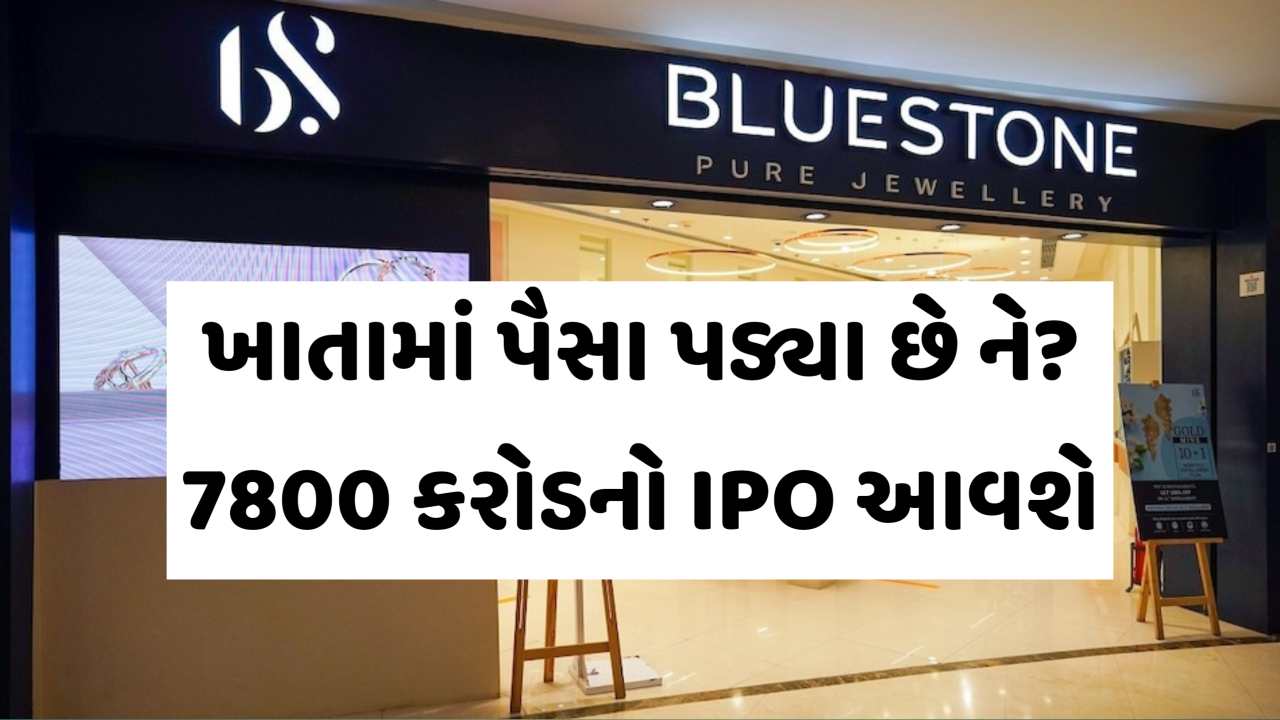 તમારા ખાતામાં પૈસા તૈયાર રાખો, બ્લુસ્ટોન જ્વેલરીનો IPO આવી રહ્યો છે