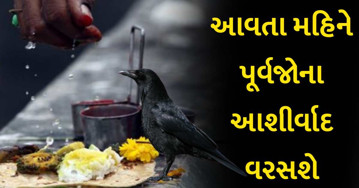 7 સપ્ટેમ્બરથી પિતૃઓના વરસશે આશીર્વાદ, આ નિયમો પાળી ધન્ય થઈ જાઓ