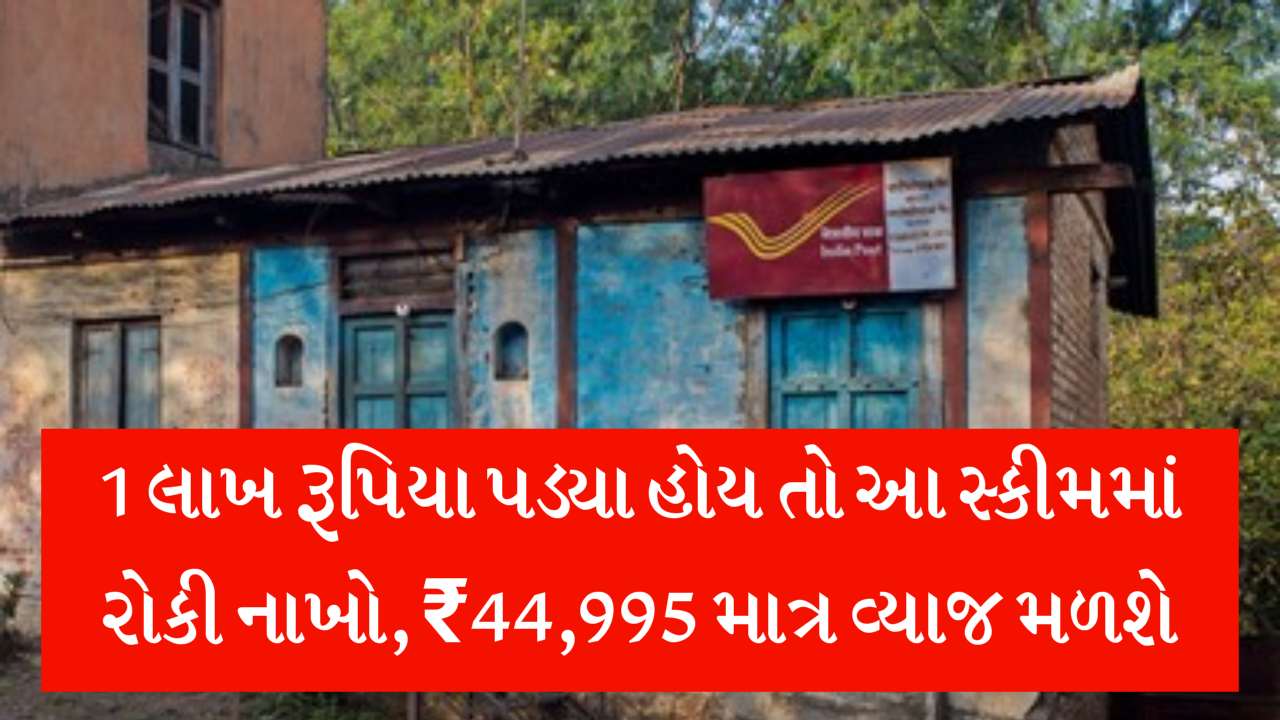 1 લાખ રૂપિયા પડ્યા હોય તો આ સ્કીમમાં કરી નાખો રોકાણ, રિસ્ક વગર થઈ જશે મોટો લાભ