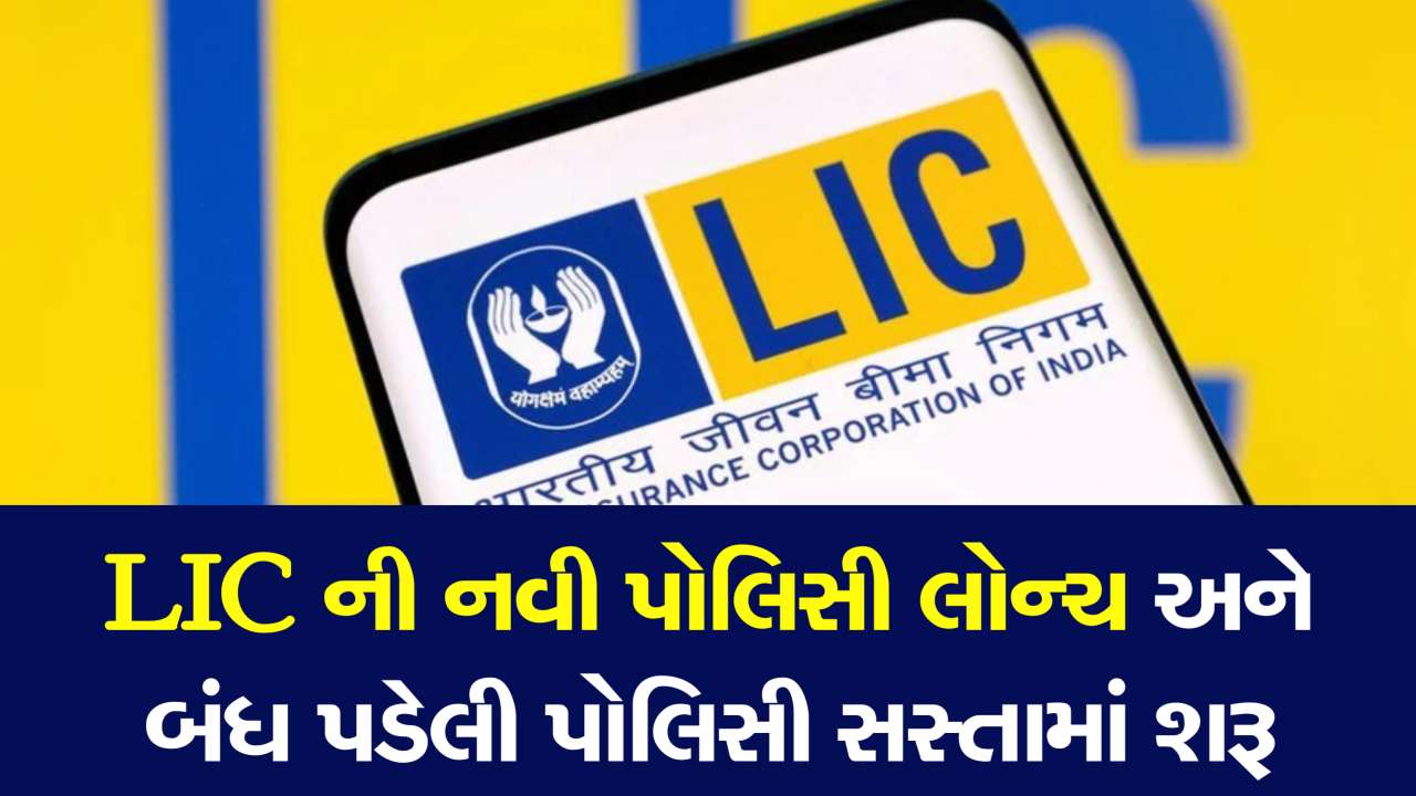 લોન્ચ થયો નવો પ્લાન, એક વાર પૈસા ભરવાના અને પછી થશે આવક, બંધ પોલિસી થશે સસ્તામાં ફરી શરૂ