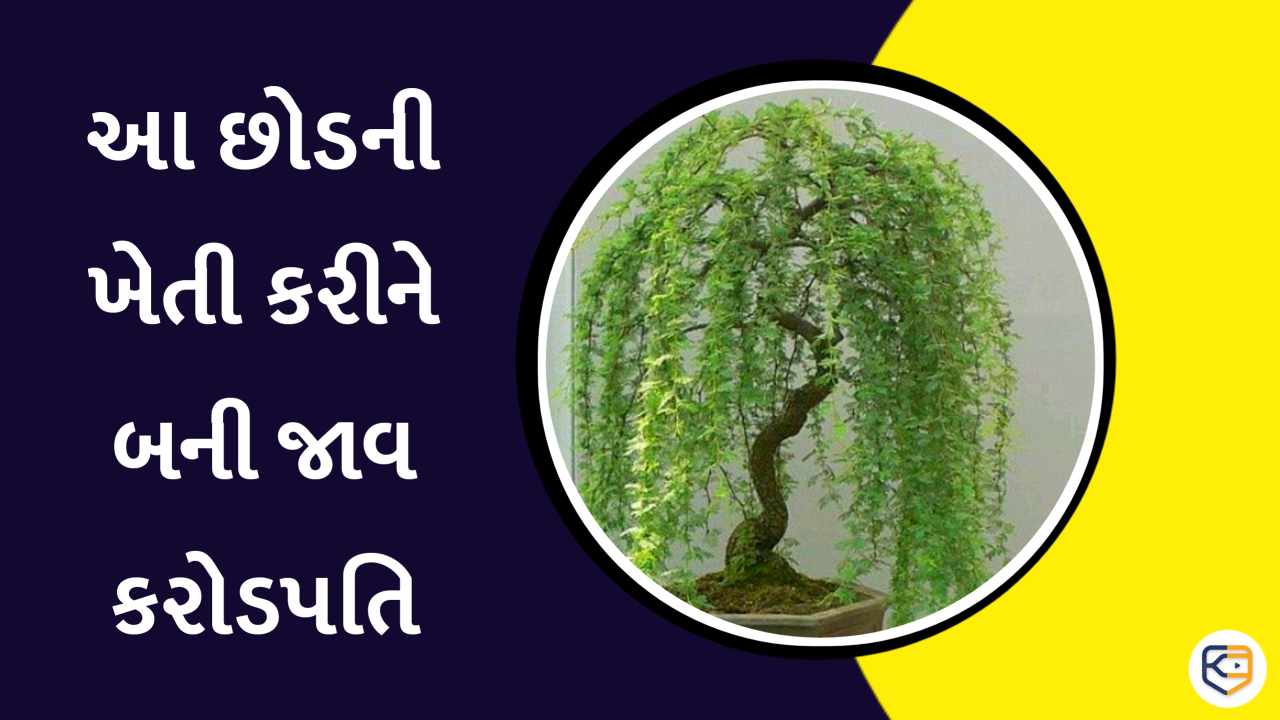 khissu