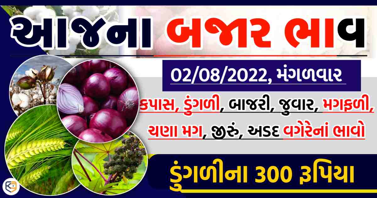 સારી ડુંગળીનાં ૩૦૦ રૂપિયા  ડુંગળીનાં ભાવમાં ટૂંકી વધઘટે અથડાતા ભાવ