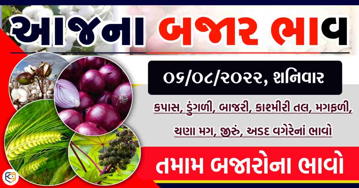 કપાસ, જીરું, કાળા તલના ભાવમાં ધરખમ વધારો.. જાણો આજના તાજા બજાર ભાવ