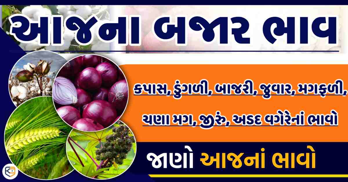 ડુંગળીનું વેંચાણ બંધ થશે... જાણો આજની શરુ માર્કેટ યાર્ડના ભાવો