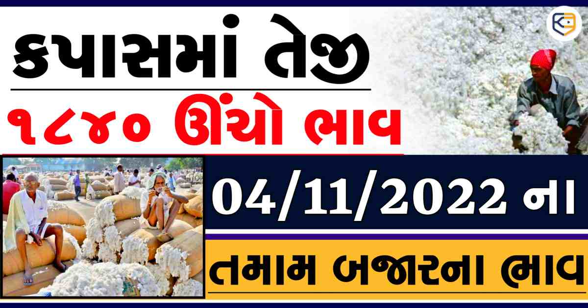 સફેદ સોનાના ભાવમાં વધારો: કપાસમાં ખેડૂતોની મજબૂત પક્કડ  વચ્ચે મણે વધુ રૂ.25-30નો સુધારો