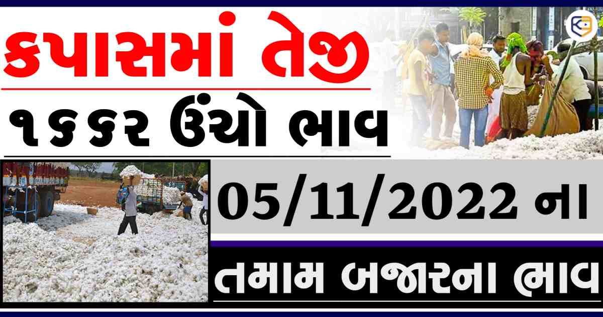 કપાસનાં ભાવમાં તેજી: આજે 1868 રૂપિયા ઊંચો ભાવ, જાણો ગુજરાતની તમામ માર્કેટ યાર્ડો નાં ભાવ