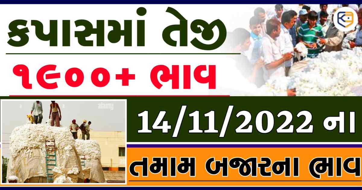 કપાસનાં ભાવમાં ઉછાળો ઝીંકાયો: 1900+ નાં ભાવો, જાણો આજનાં બજાર ભાવ