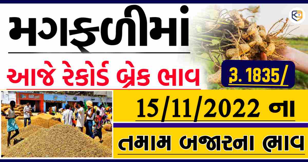 મગફળીના હવે તેજી રહેશે, 1835 ઊંચો ભાવ, જાણો આજનાં મગફળીના બજાર ભાવ