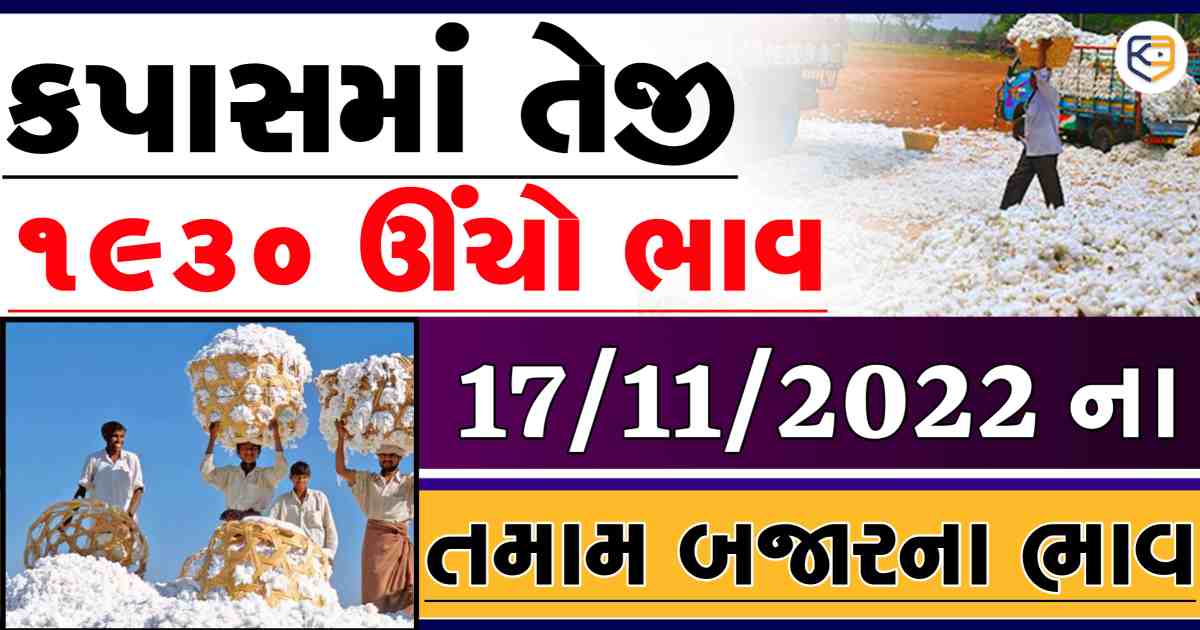 કપાસનાં ભાવથી ખેડૂતો ખુશખુશાલ: 1930 રૂપિયા ઊંચો ભાવ, જાણો આજનાં કપાસની તમામ માર્કેટ યાર્ડનાં ભાવ