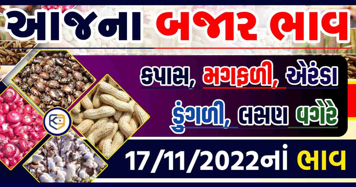 ખેડૂતો ખુશખુશાલ: જાણી લો કપાસ, મગફળી, ડુંગળી, જીરું તેમજ અન્ય પાકોના ભાવ
