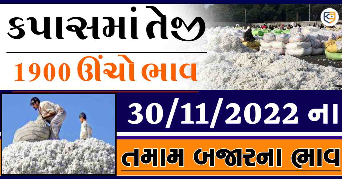 કપાસનાં ભાવમાં તેજી રહેશે ? 1900 રૂપિયા ઊંચો ભાવ, જાણો આજનાં બજાર ભાવ