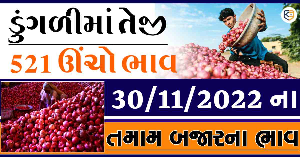 ડુંગળીના ભાવમાં વધારો, મણે 20 રૂપિયાનો લાભ, જાણો ડુંગળીના બજાર ભાવ