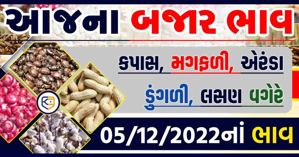 મગફળી અને કપાસના ભાવમાં જોરદાર વધારો: જાણો આજનાં (05/12/2022) બજાર ભાવ