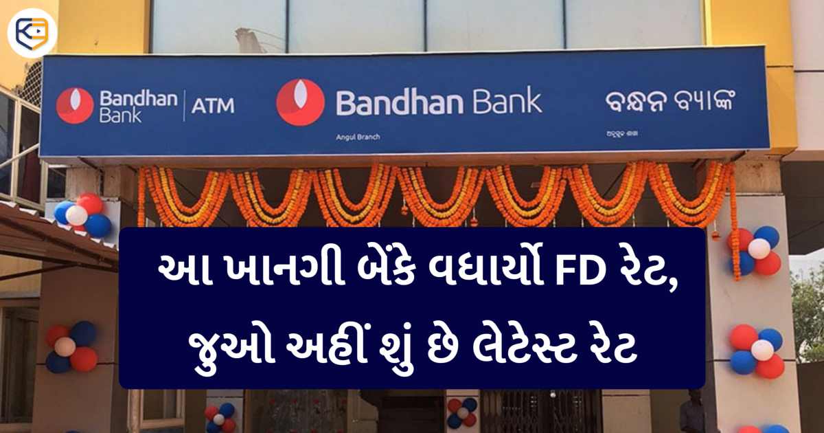 ફિક્સ્ડ ડિપોઝિટ પર વધ્યું વ્યાજ, આ ખાનગી બેંકના ગ્રાહકોને મોટી કમાણી કરવાની તક