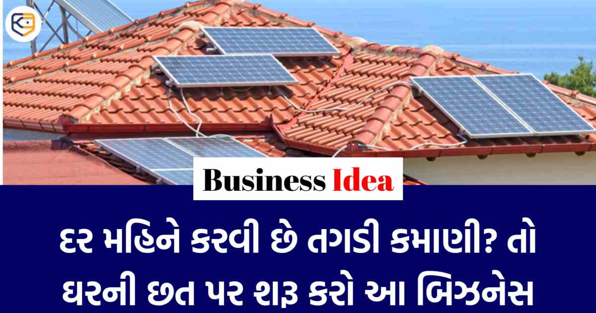 Business Idea: ઘરની છત પર શરૂ કરો આ બિઝનેસ, ઘરે બેઠા થશે શાનદાર કમાણી