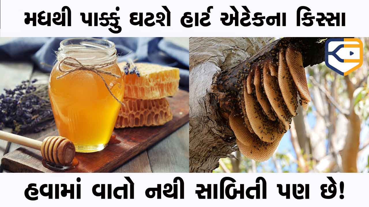 હવામાં વાતો નથી સાબિત થયેલી વાત છે, સંશોધનોએ પણ સ્વીકાર્યું- મધથી પાક્કું ઘટી જશે હાર્ટ એટેકના કિસ્સા