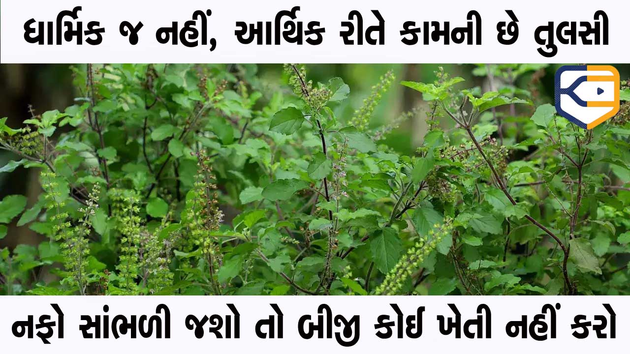 khissu